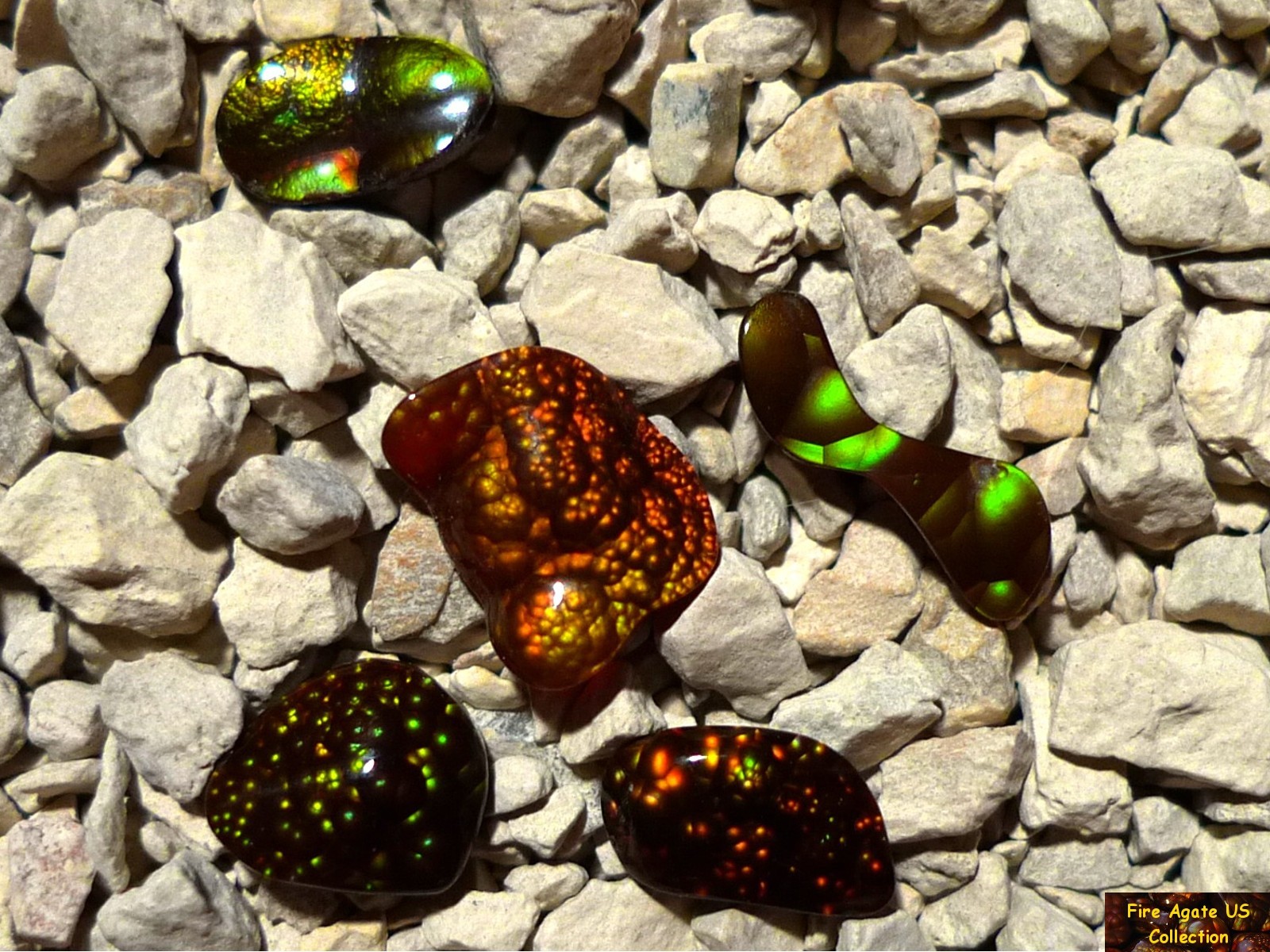 Group of Five Fire Agate Cabochons 4.6 Total Carat Weight Deer Creek Slaughter Mountain Arizona Gems SLG068 Photo 3