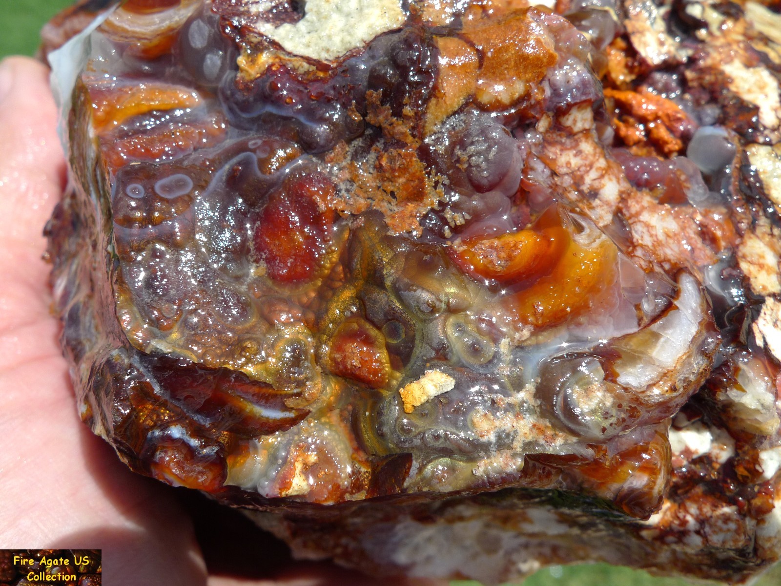 Massive 5.6 Pounds Fire Agate Rough Mineral Specimen Slaughter Mountain Arizona SLM016 Photo 3