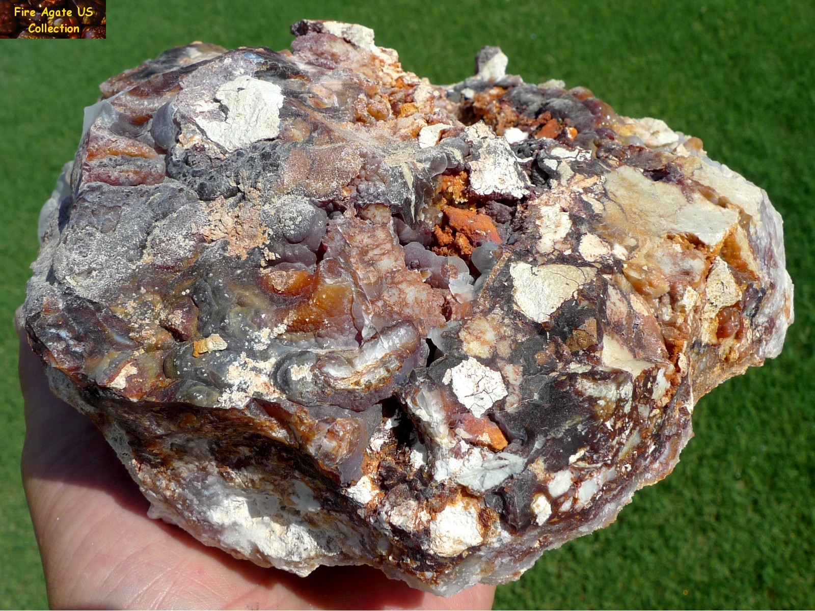 Massive 5.6 Pounds Fire Agate Rough Mineral Specimen Slaughter Mountain Arizona SLM016 Photo 7